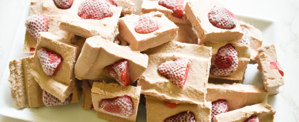Hight Protein Frozen Chocolate Banana Bark Recipe