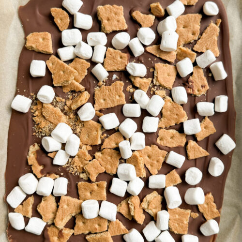 frozen s'mores bark ready to be served