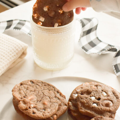 Winter dessert plate with hot chocolate cookies and marshmallows