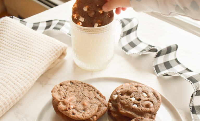 Winter dessert plate with hot chocolate cookies and marshmallows