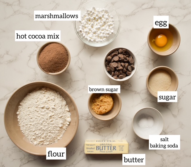 ingredients hot chocolate cookies