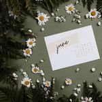 Flat lay of a June calendar surrounded by daisies and ferns on a green background.