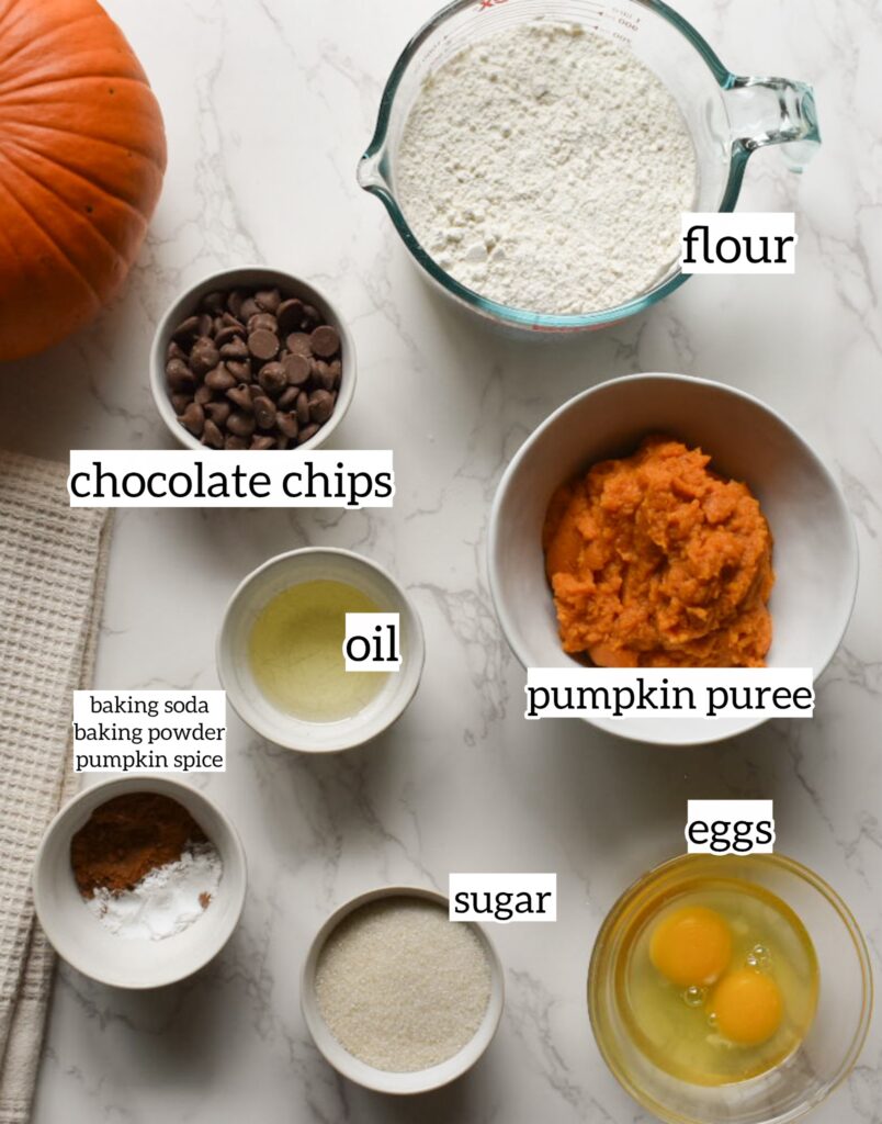 Ingredients for pumpkin chocolate chip bread, including pumpkin puree, flour, eggs, pumpkin pie spice, and chocolate chips.